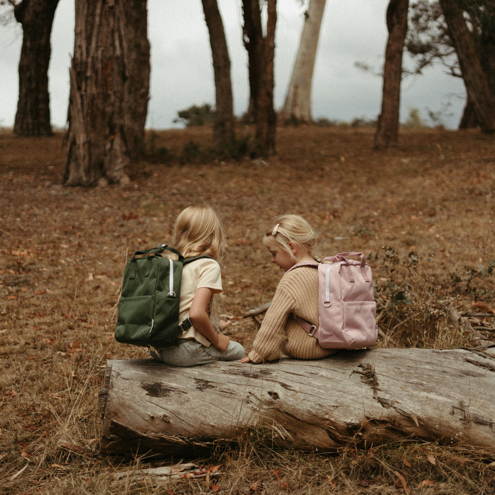 Pippi And Friends