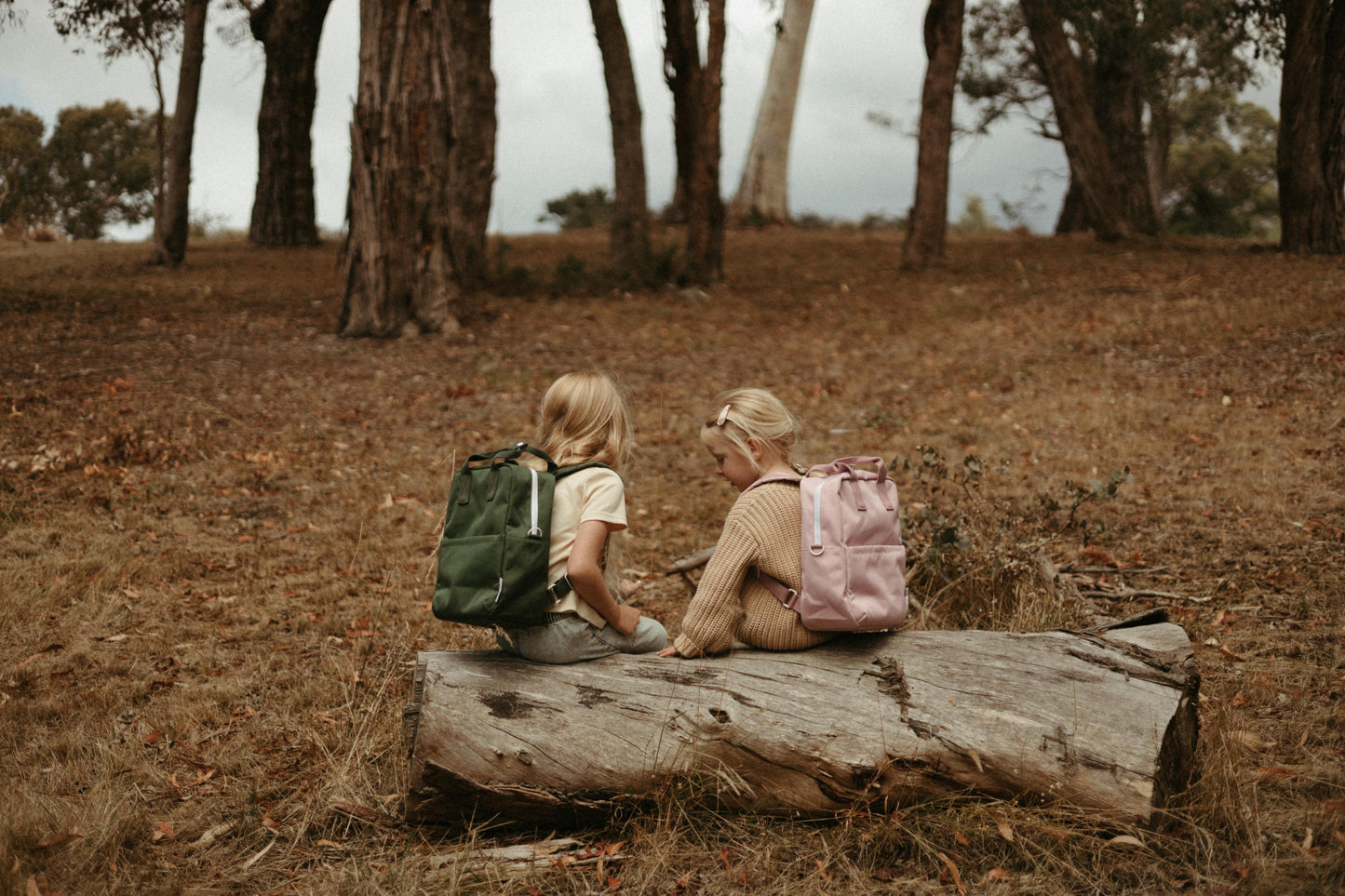 Pippi And Friends